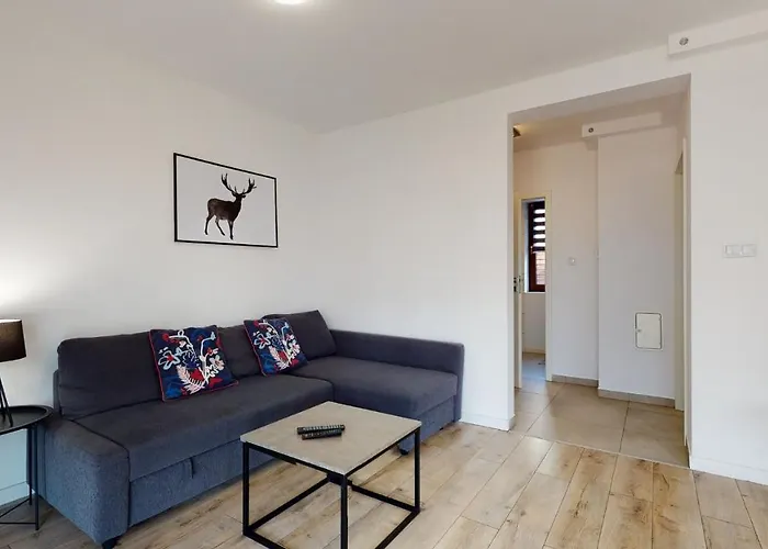 Apartament Fibra Americano